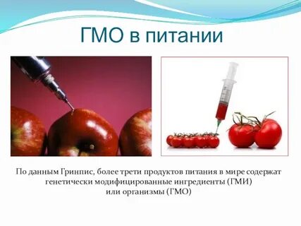 Темы гмо