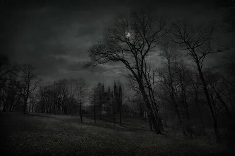 Dark Forest Wallpaper  Пейзажи, Живописные пейзажи, Мрачные места