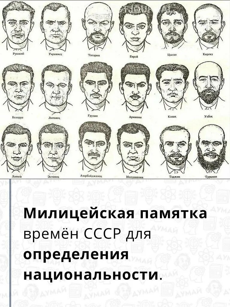 Сколько грузин в россии. Национальности СССР. Внешность национальностей. Внешность народов СССР. Табличка национальностей.