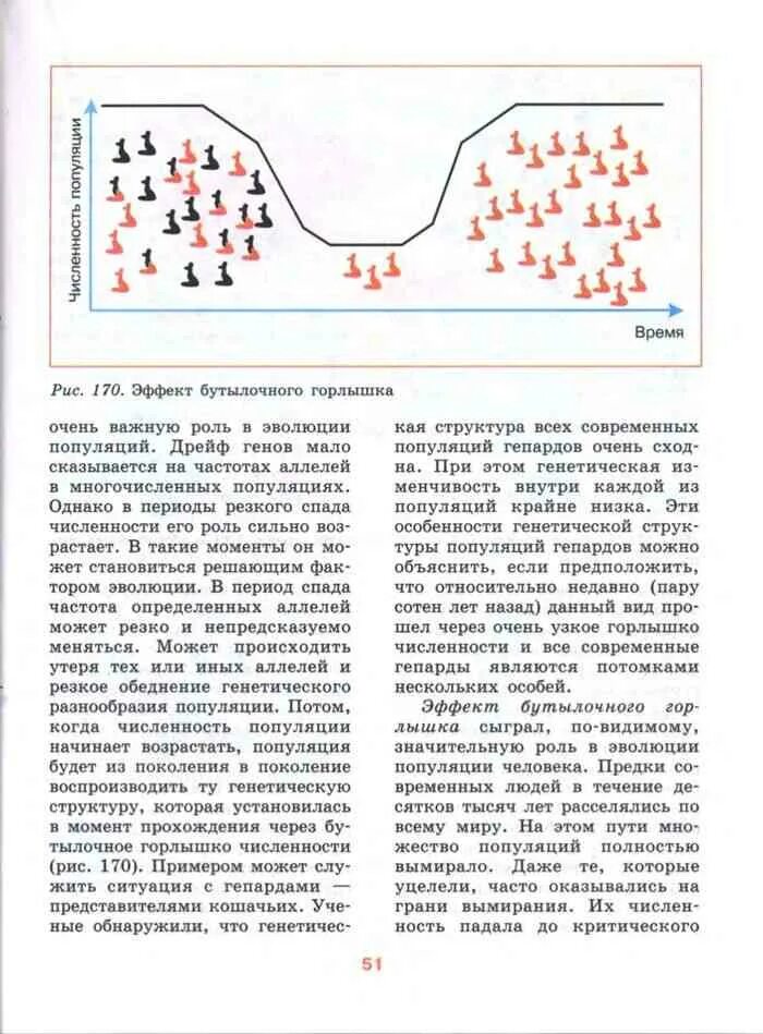 Эффект основателя в эволюции. Эффект бутылочного горлышка и дрейф генов. эффект бутылочного горлышка. эффект бутылочного горлышка егэ биология. дрейф генов бутылочное горлышко.