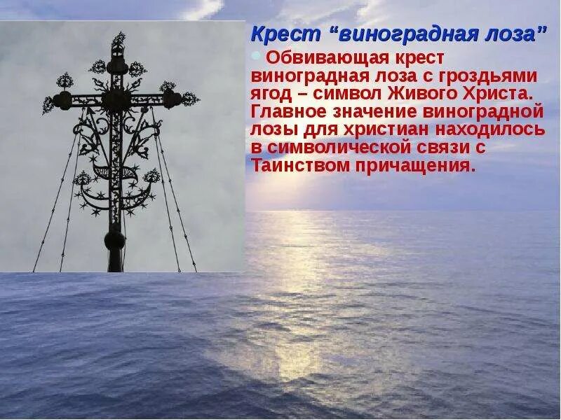 Татуировка виноградная лоза. Что означает виноградная лоза. Символ винограда в христианстве. Что означает виноградная лоза. Что означает виноградная лоза.