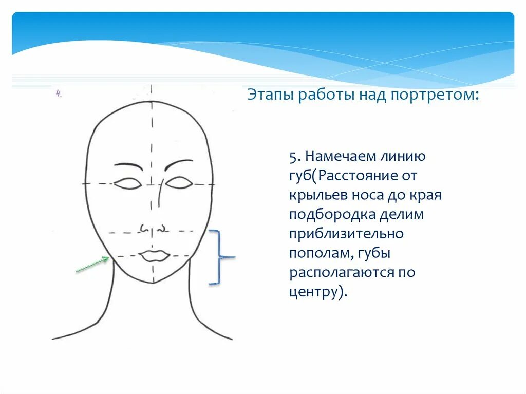 Поэтапное рисование портрета 3 класс презентация. Пропорции лица. Этапы работы над портретом. Пропорции лица для рисования. Пропорции лица человека схема.