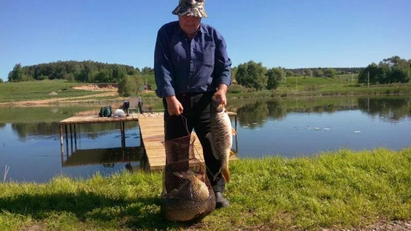 Платная рыбалка в московском районе. Большая городня серпуховский район озеро. серпуховский район озеро лютце. озеро люце. платная рыбалка в серпухове и серпуховском районе.