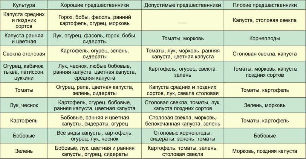 Морковь после клубники можно. Посадка овощей предшественники таблица. Таблица севооборота овощных культур на огороде предшественники. Таблица севооборота овощных культур на огороде что после чего сажать. Лучшие предшественники для посадки овощей таблица.