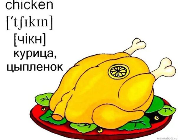 Слова chicken chicken. Курица по английскому языку. Карточки по английскому языку Chicken. Курица карточка по английскому. Карточки с английскими словами для детей курица.