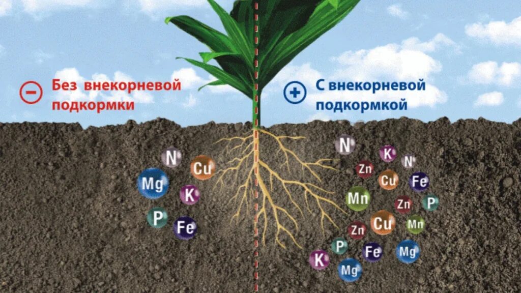 Соединение минеральных удобрений. Удобрение почвы. Удобрения для растений. Микроэлементы в почве. Корневая подкормка растений.