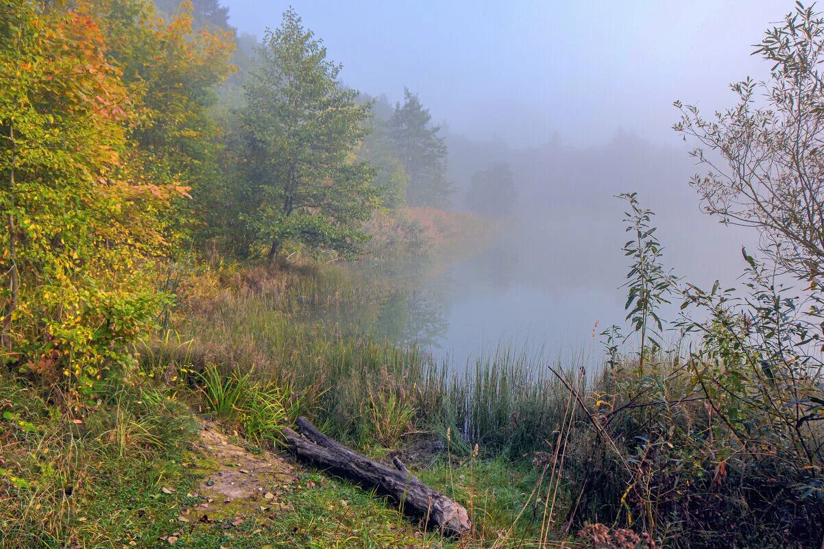 погожим сентябрьским утром. с сентябрьским утром. погожим сентябрьским утром. погожим сентябрьским утром. солнечный день в городе.