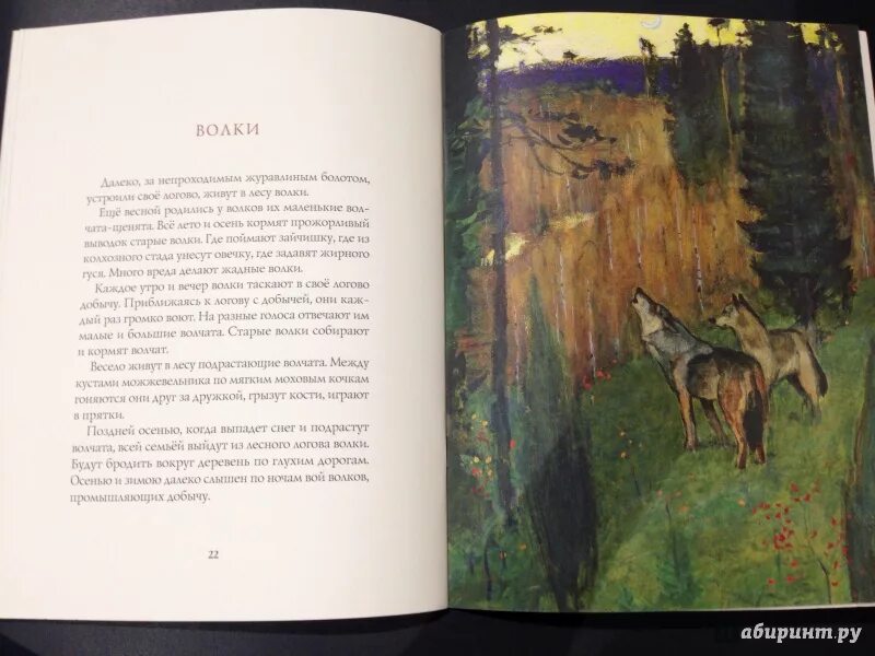 Лес осенью. Соколов микитов улетают наши птицы. Книжка соколов микитов осень в лесу. Микитов лес осенью. Книжка соколов микитов осень в лесу.