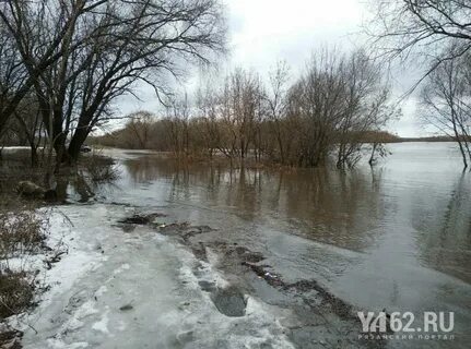 Рязань москва река