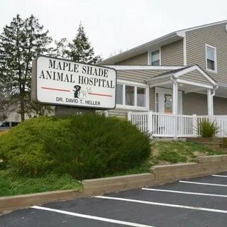 Maple hospital hunt
