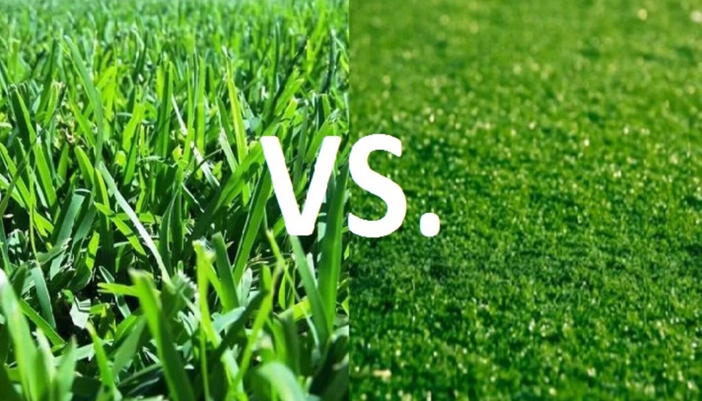 Natural v. Natural grass. Artificial vs natural. Grass слоган. Natural Synthetic.