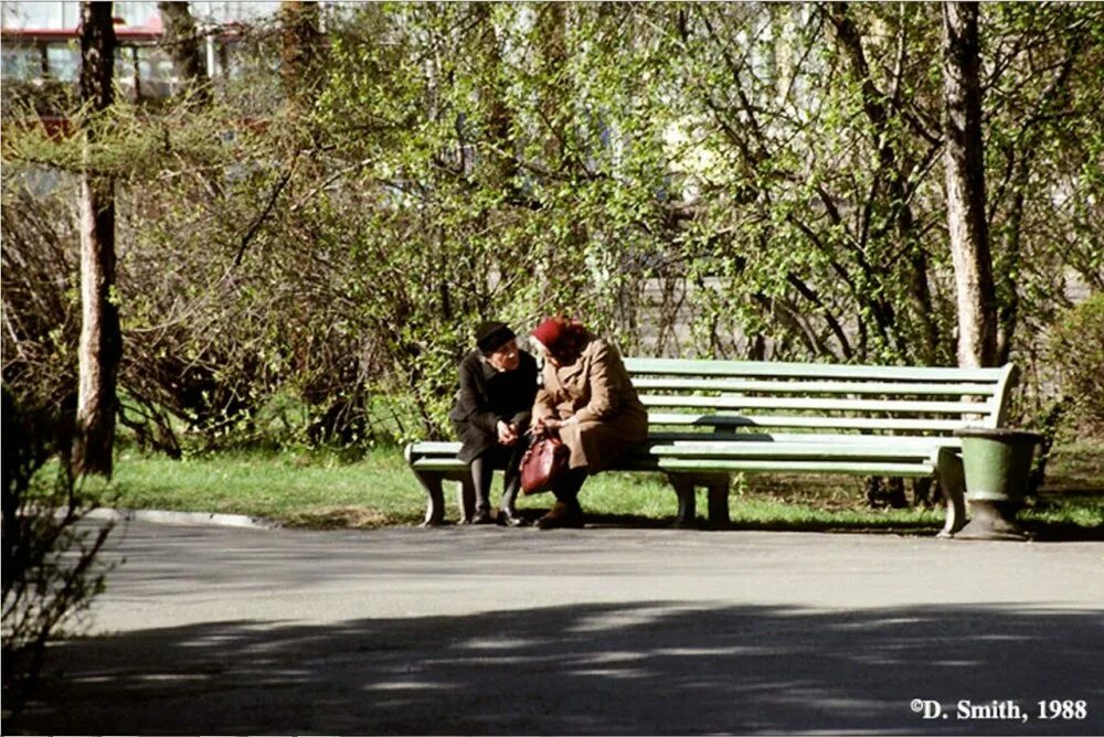 Мужчина на скамейке. Человек сидит на лавке. Скамейка в парке. Парочка на скамейке. Лавочка в парке.