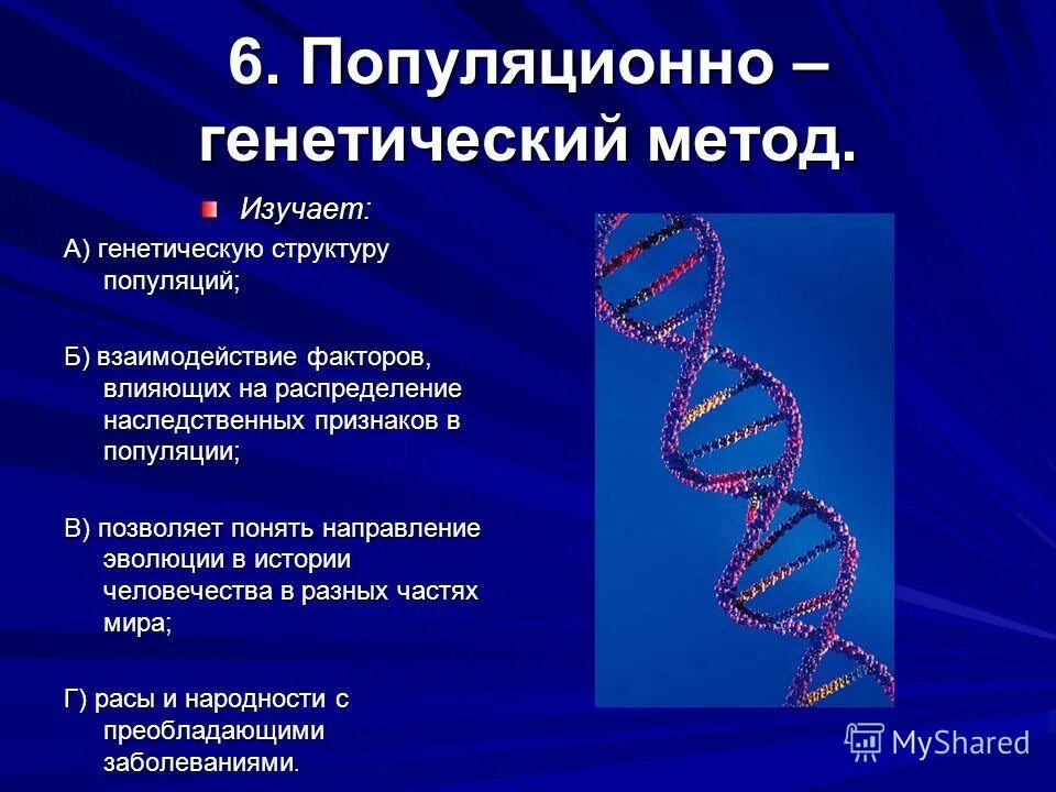 6 генетика человека