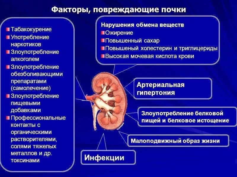 Заболевание пиелонефрит симптомы. Хронические заболевания почек перечислить. Факторы повреждающие почки. Основные причины заболевания почек. Причины заболеваний почек причины.