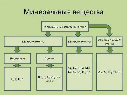 И минеральных веществ в ее