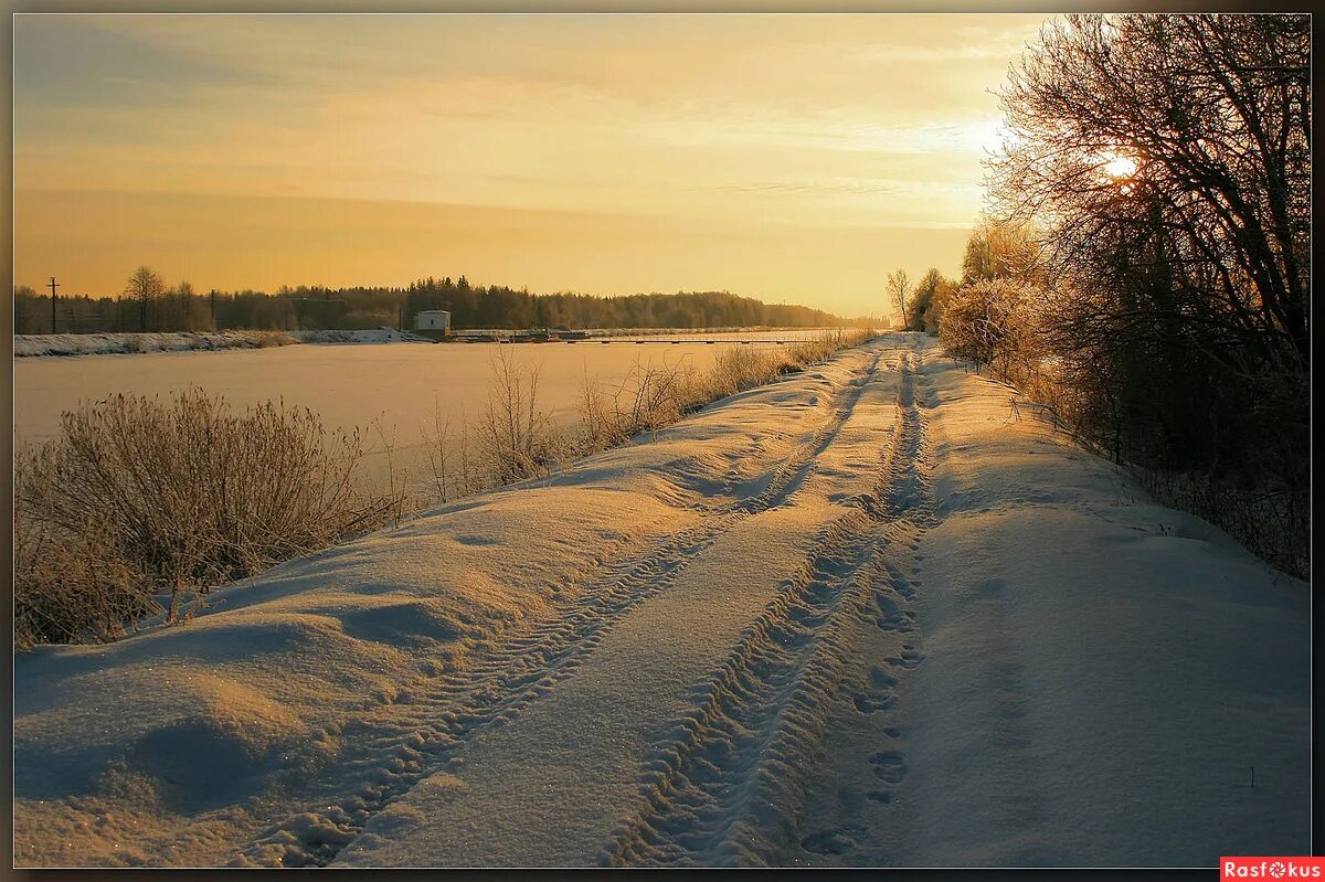 Подмосковная зима