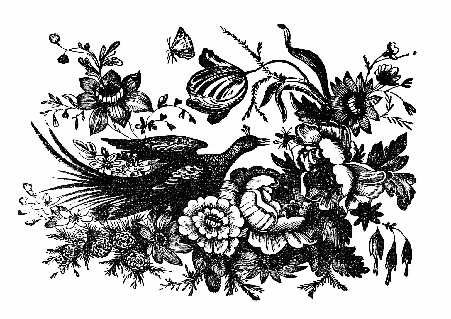 монохром для декупажа. монохромные рисунки для декупажа. монохромные рисунки. черно белый монохром. винтажный монохром для декупажа.