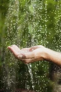Rain holiday 4