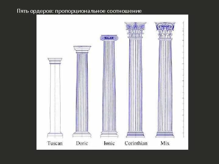 Ордеры низкие. Греческие колонны. Греческая колонна чертеж. Греческая колонна тонкая. 3 Модель греческой колонны пилястры.