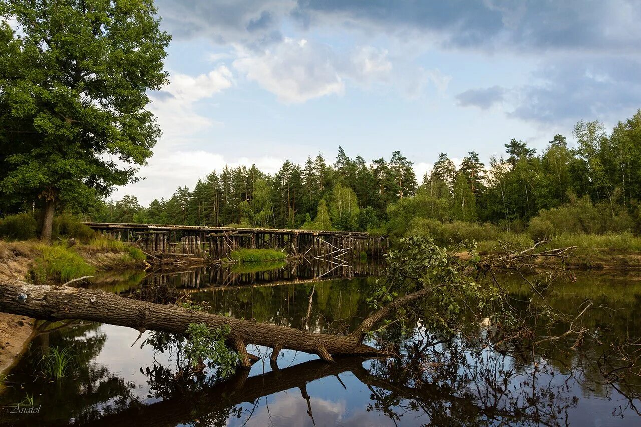 Мещера клепики