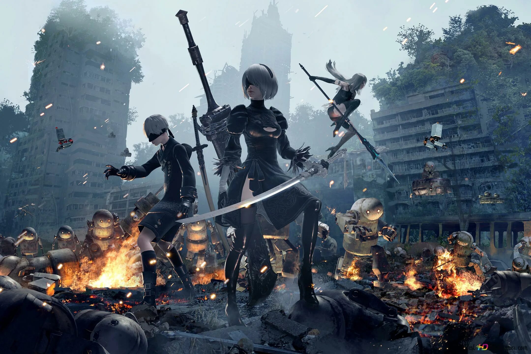 1 c и 2 b игра