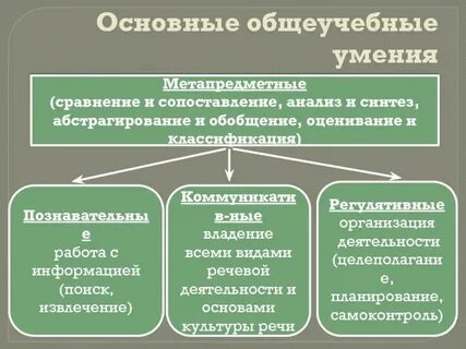Познавательные умения общеучебные
