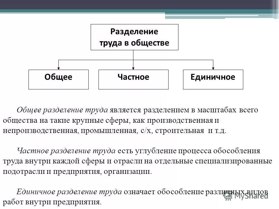 Цели и виды административных наказаний. Классификацию видов законов. В чем суть частного общего. Принципы профессиональной этики. В чем суть частного общего.