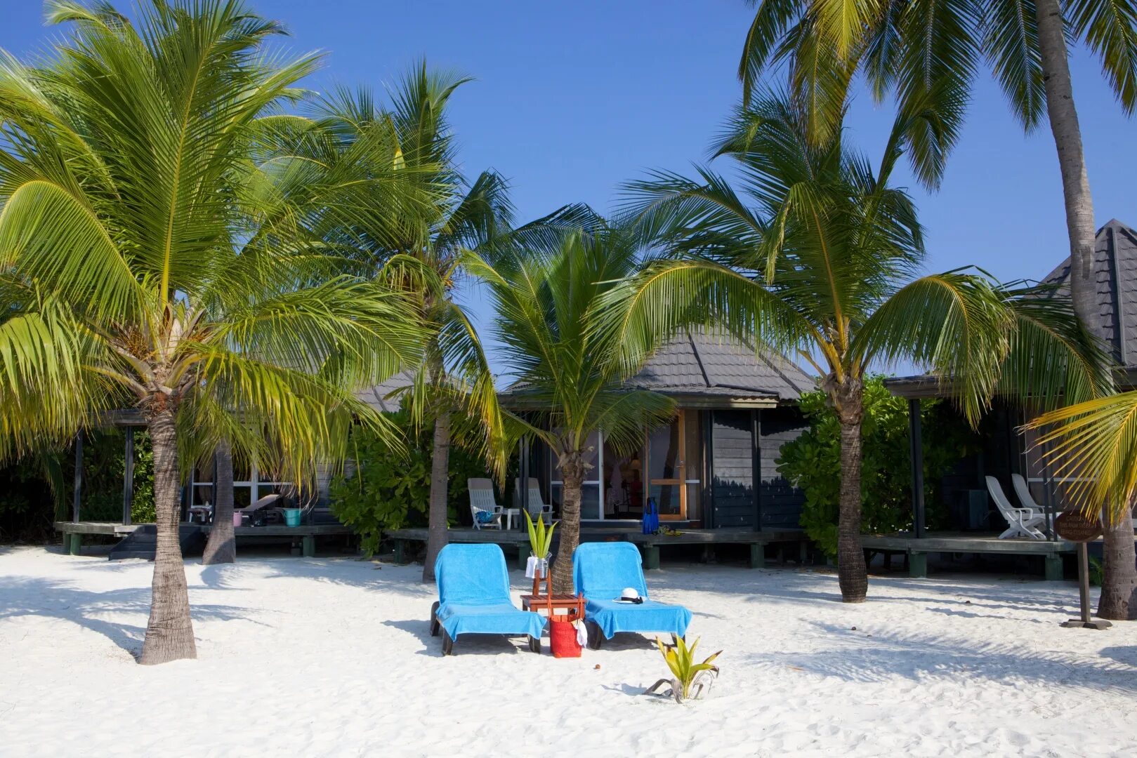 Island beach 2. Остров Kuredu Мальдивы. Куреду Бич вилла. Kuredu Island Resort 4. Отель Kuredu Island Resort & Spa.
