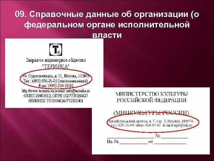 Название организации 9. Справочные данные организации пример оформления документа. Справочные данные об организации реквизит. Оформление реквизита справочные данные об организации. Справочные данные об организации на бланке документа.