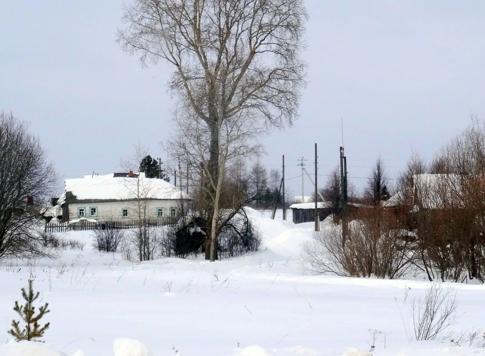 Погода цепел пермский край. Цепели кировская. Цепели кировская. Деревня решетники кировская область. Цепели кировская.