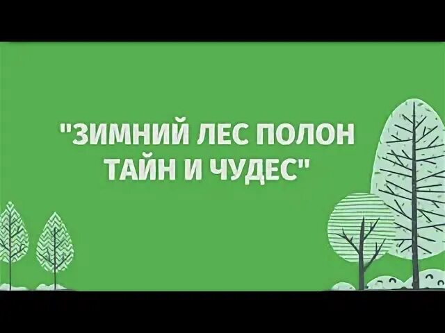 Лес сказок. Сказочный лес. Красивая сказочная природа. Дикий лес. Сказочные леса.