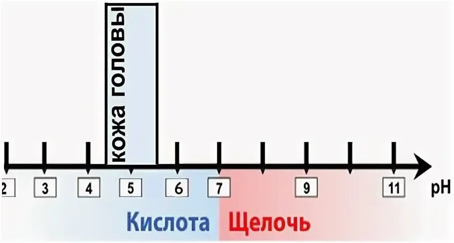 Кислотность кожи. Шкала кислотности PH кожи. PH баланс шкала. Шкала кислотности PH волос. PH кожи головы и волос.
