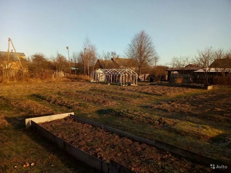 Плашкино новгородская. Мста (посёлок). Плашкино фото. Плашкино новгородская. Плашкино новгородская.
