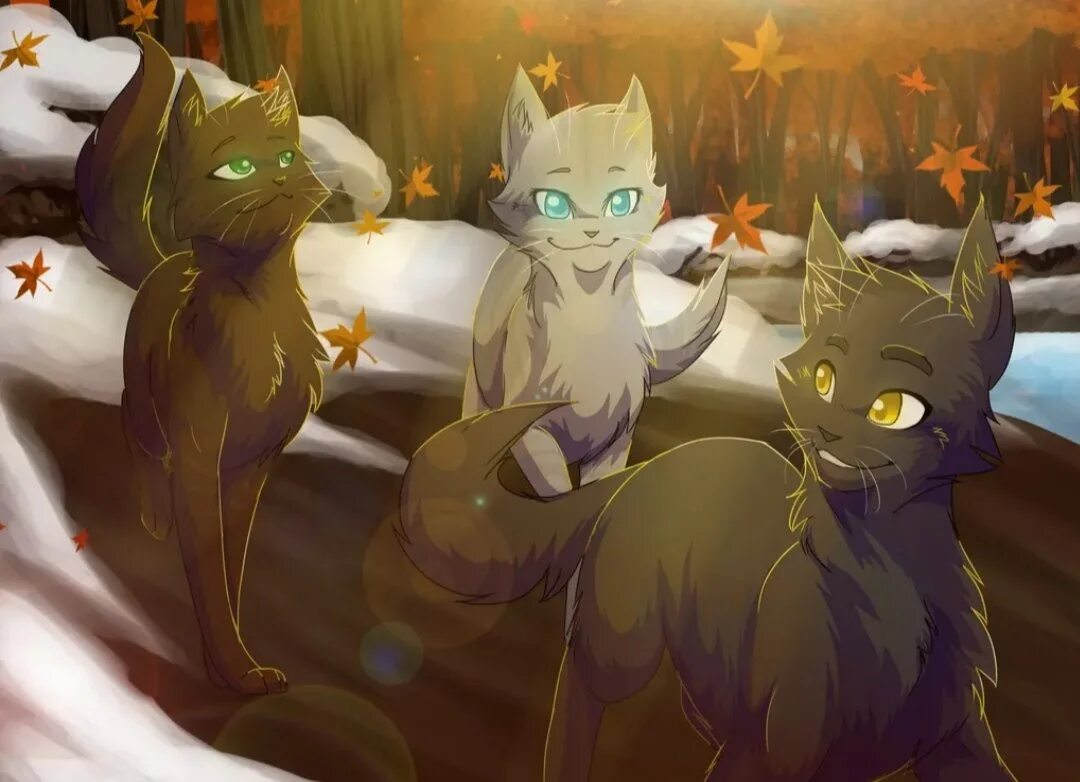 Коты воители 4. Коты воители дубозвезд. коты воители warriors. коты воители варриорс. коты воители riverspirit456.