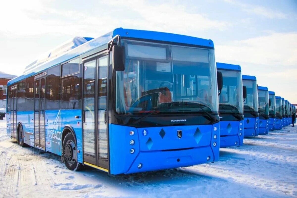 115 автобус кемерово сарапки. Нефаз-5299 10-08 кузбасс. 115 автобус кемерово сарапки. 115 автобус кемерово сарапки. 115 автобус прокопьевск.
