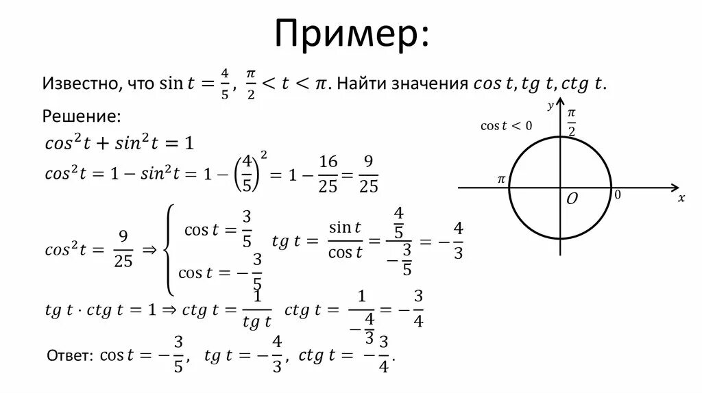 Функции углового аргумента. Тригонометрические функции числового аргумента 10 класс. Тригонометрические функции числового аргумента функции. Тригонометрические функции числового и углового аргумента. Тригонометрические функции числового аргумента формулы.