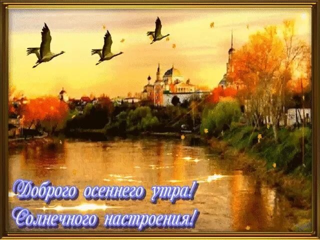 Осенний четверг картинки. Осеннее утро четверга. Доброго осеннего четверга. Доброе осеннее утро четверга. Доброе утро четверг осень.