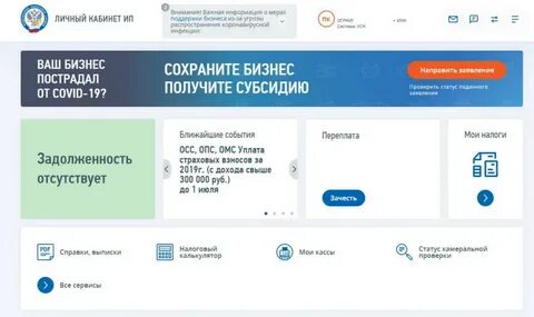 Предоставление субсидии индивидуальному предпринимателю
