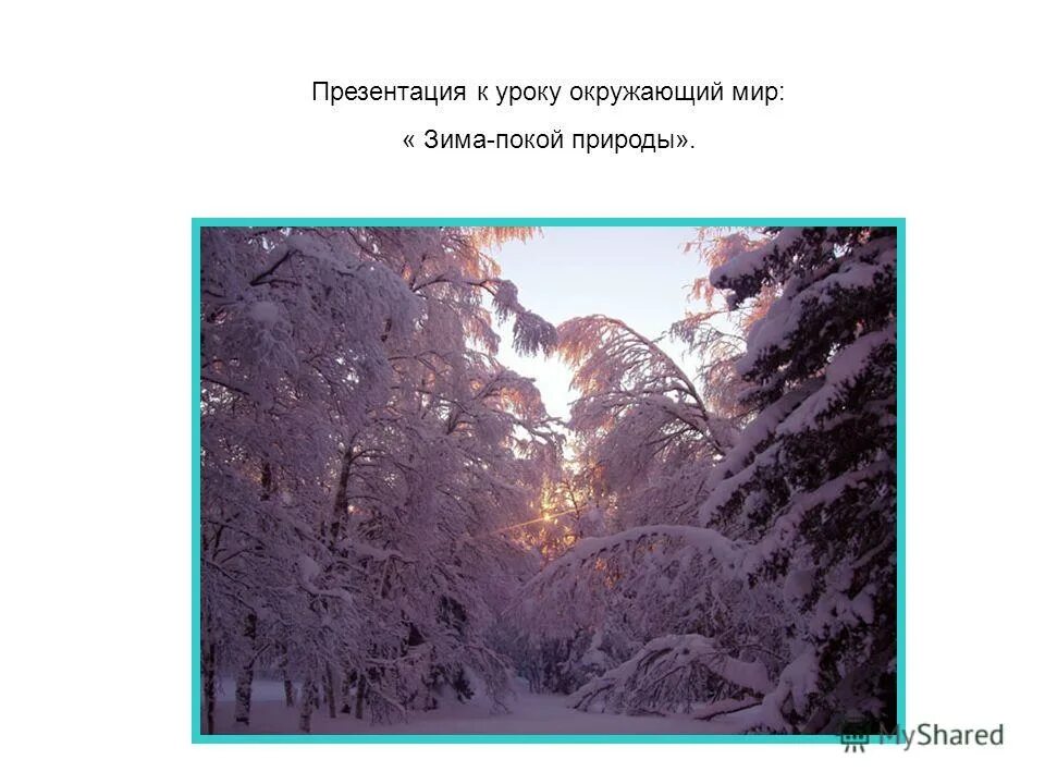 Изменения в природе в декабре. Окружающий мир зима. Окружающий мир 1 класс тема 15 зима покой природы. Окружающий мир зима в Крыму.