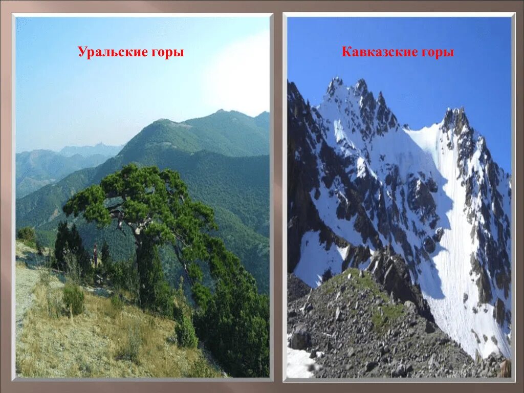 Уральские горы и кавказские горы. Уральские и кавказские горы сравнение. Сходства уральских и кавказских гор. Восточно-европейская равнина с кавказскими горами.