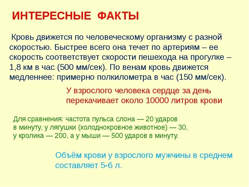 Интересные факты о крове. Кровь интересные факты для детей. Интересные факты о кровотечении. Интересные факты о крови человека. Повторяющиеся факты