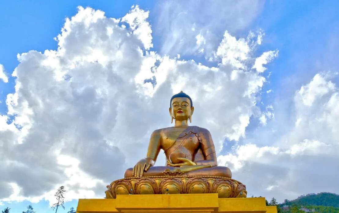 Фото будды. Шакьямуни Будда Шакьямуни. Буддизм Будда Шакьямуни. Будда Шакьямуни фото. Будда Шакьямуни портрет при жизни.