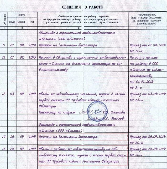 Может ли директор совмещать
