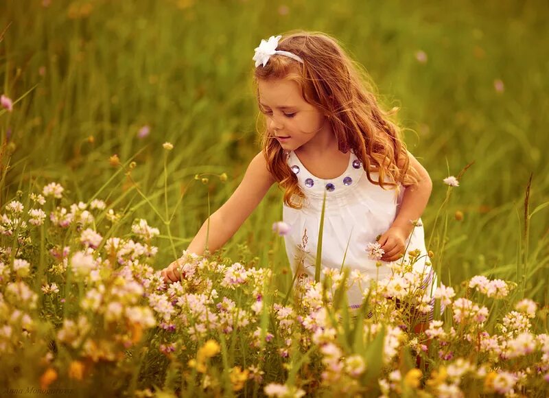 счастливый ребенок. русские красавицы. счастливая девушка. фотосессия дочки 5 лет со цветами в поле. модель даниэль кнадсон.