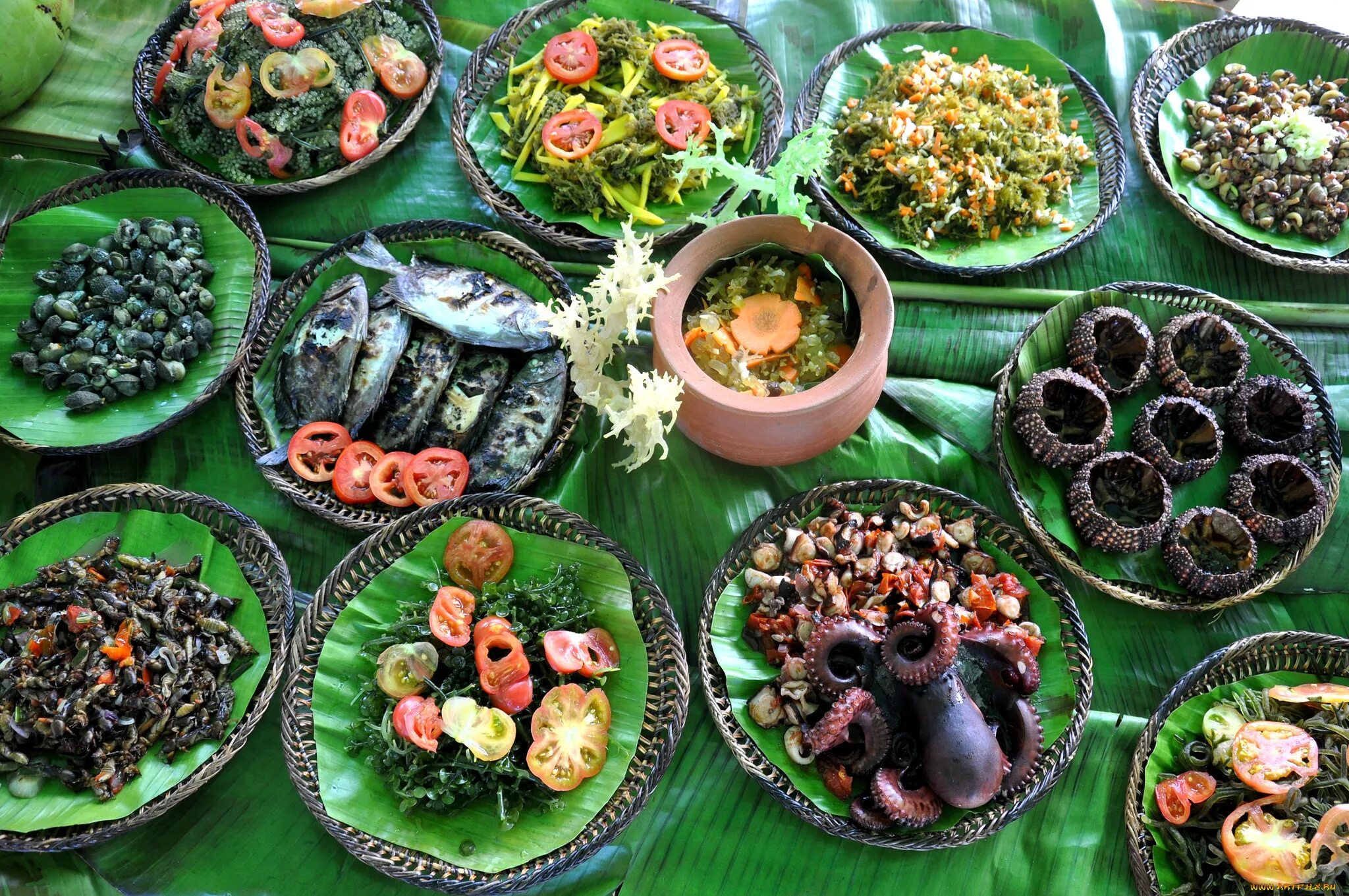 Морской деликатес гребешки. Блюда деликатесы. Морские деликатесы. Блюда из рыбы и морепродуктов. Морепродукты в японии.