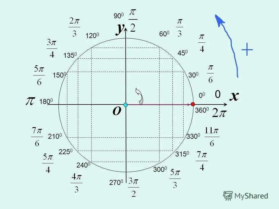 Тригонометрическая окружность -2pi. 1/2 На тригонометрическом круге. Единичная окружность синус. -30 Градусов на единичной окружности.