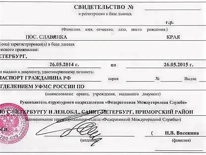 Оформить регистрацию в спб