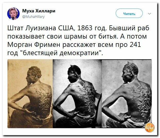 Освобождение от рубцов латынь