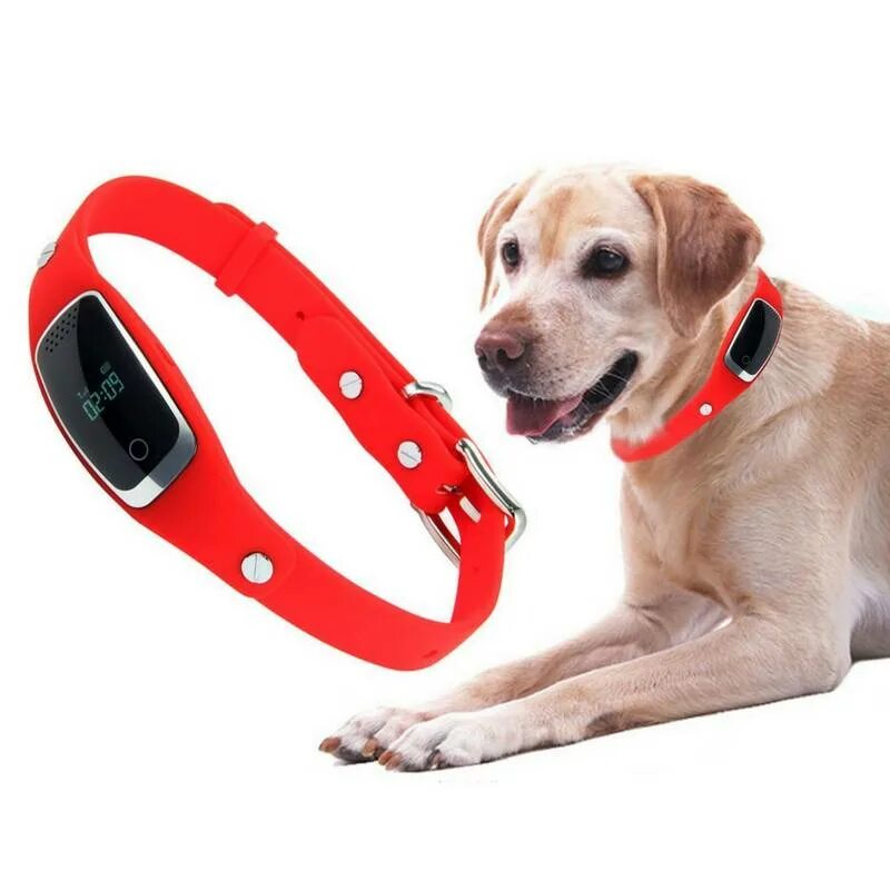 Gps навигатор для собак. Gps tracker pets (ошейник)771,11. ошейник для собак pet gps collar s1. трекер для охотничьих собак. gps трекер для собак.