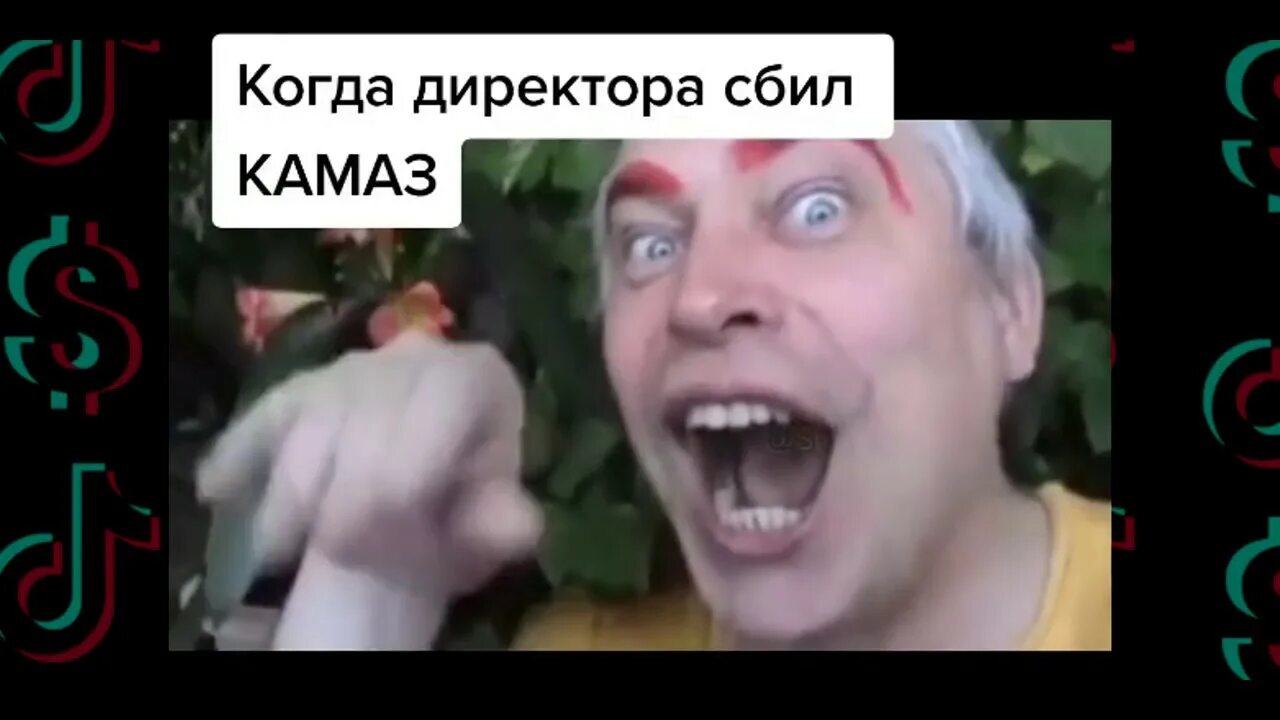 Мемов из тик тока. Мемы тик ток.